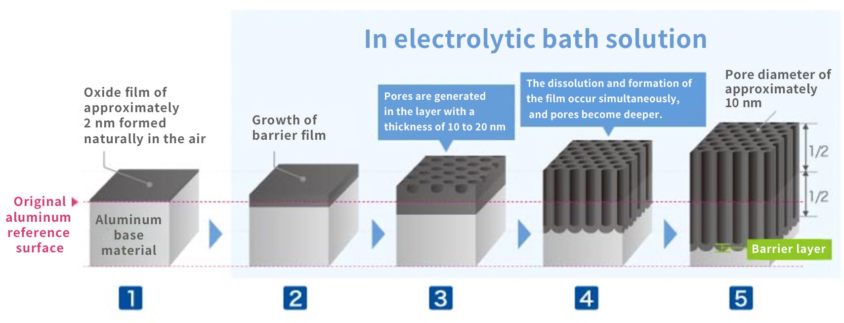 Visual progression showing five stages of anodizing film growth from initial oxide layer to final porous structure.