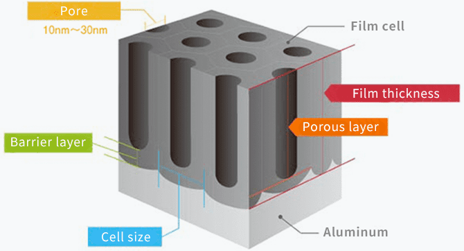 Detailed microscopic structure of an anodized film highlighting the porous layer, barrier layer, and nano-sized pores.
