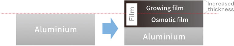 Technical illustration of an anodized film showing the relationship between the growing film and the osmotic film.